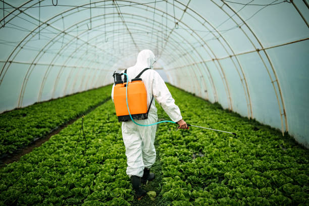 Best Insect Control  in Lanark, IL