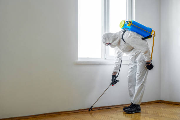 Professional Pest Control in Lanark, IL