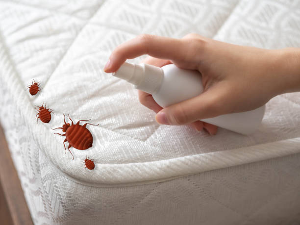 Best Exterminator Services  in Lanark, IL