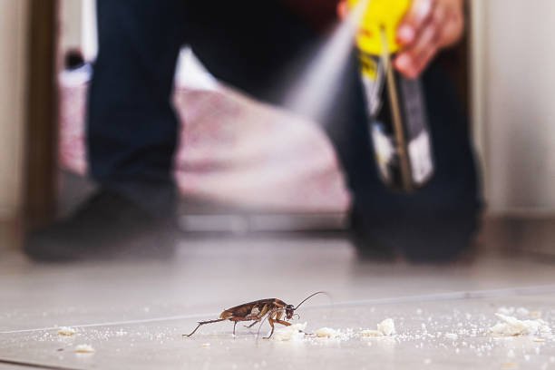 Best Affordable Pest Control Services  in Lanark, IL