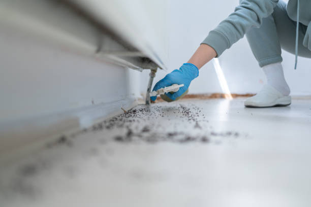 Best Pest Removal Services  in Lanark, IL